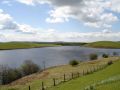 28401 437308311152 1195199 n 437308311152