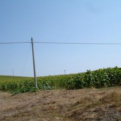37608 463611276152 7111566 n 463611276152