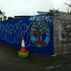 PANO 20190916 080852.vr
