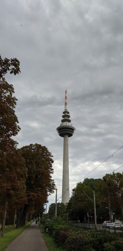 MVIMG 20190929 140456