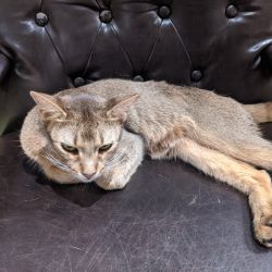 IMG 20191205 141359 MP
