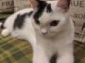 IMG 20191205 141518 MP