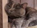 IMG 20191205 141611 MP