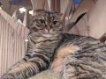 IMG 20191205 141651 MP