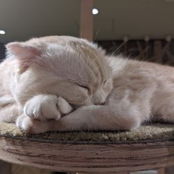 IMG 20191205 141716 MP