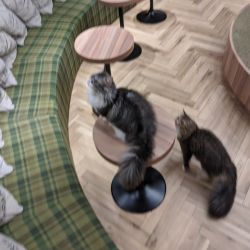 IMG 20191205 141816 MP