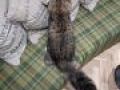 IMG 20191205 141832 MP
