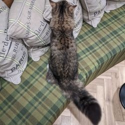 IMG 20191205 141832 MP