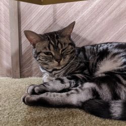 IMG 20191205 141851 MP