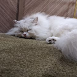 IMG 20191205 141942 MP