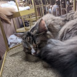 IMG 20191205 142018 MP