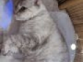 IMG 20191205 142033 MP