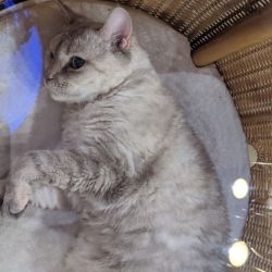 IMG 20191205 142033 MP