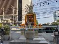 IMG 20191212 092310 MP
