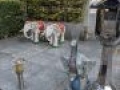 IMG 20191212 092319 MP